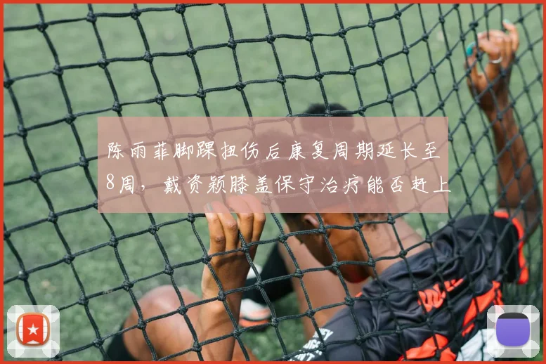 陈雨菲脚踝扭伤后康复周期延长至8周，戴资颖膝盖保守治疗能否赶上世锦赛？
