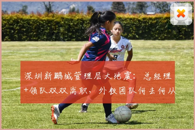 深圳新鹏城管理层大地震：总经理+领队双双离职，外教团队何去何从